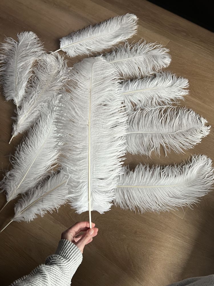 Перо страуса біле, пірʼя страуса 45-50 см для декору фотозони