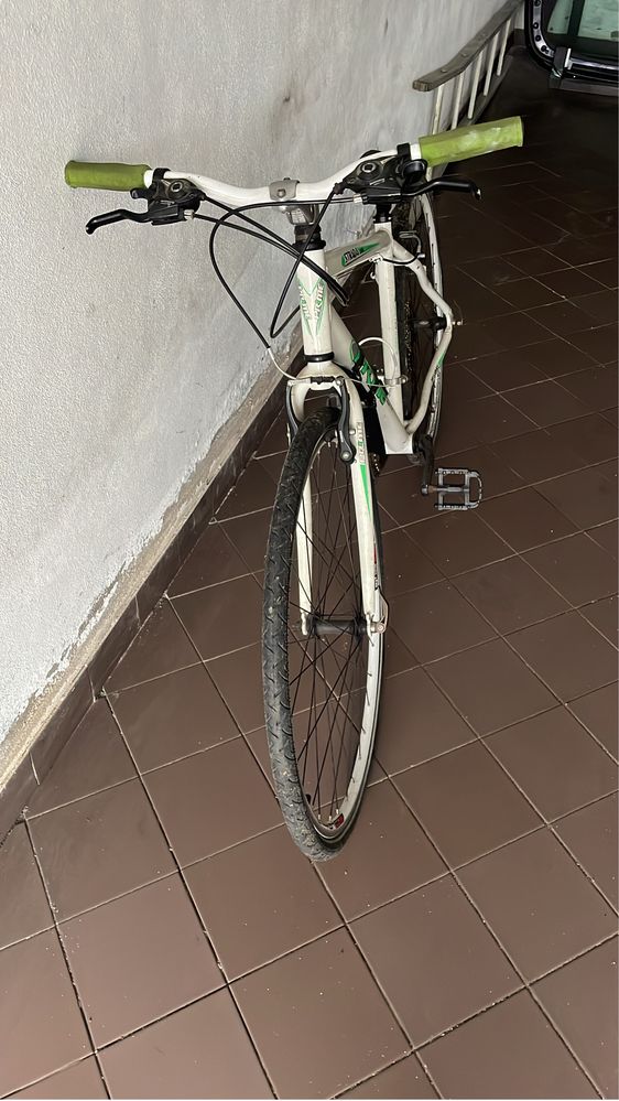 Bicicleta de adulto