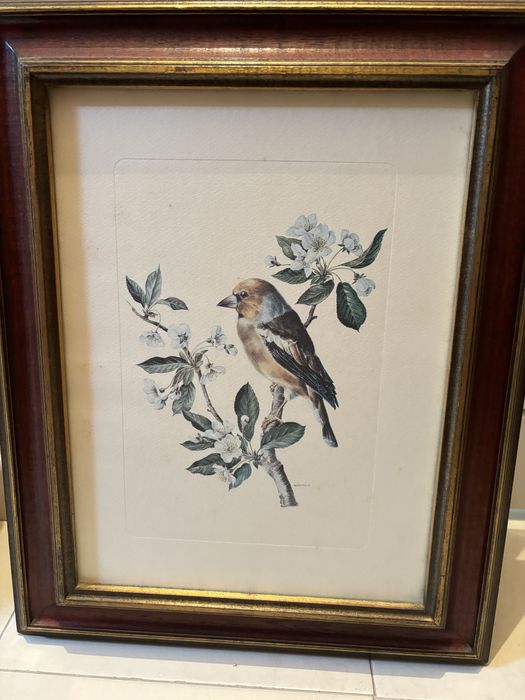 Varios quadros de diferentes estilos