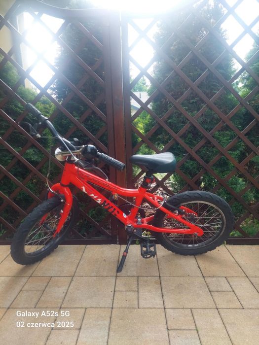 Rowe dziecięcy Ridgeback koła 16"