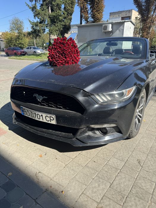 Здам в оренду Mustang 2017 року, кабріолет