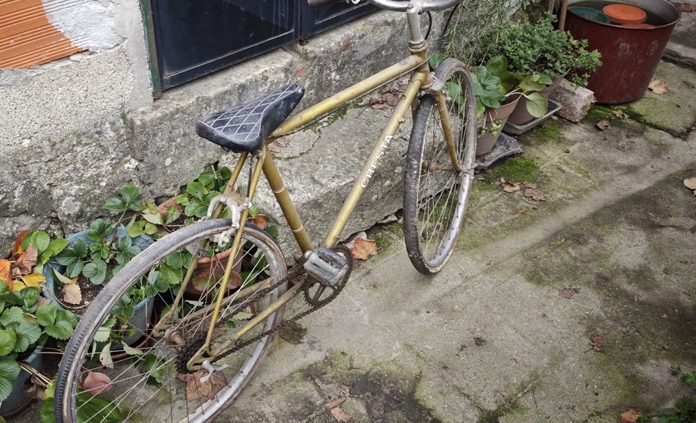 Três bicicletas bom preço