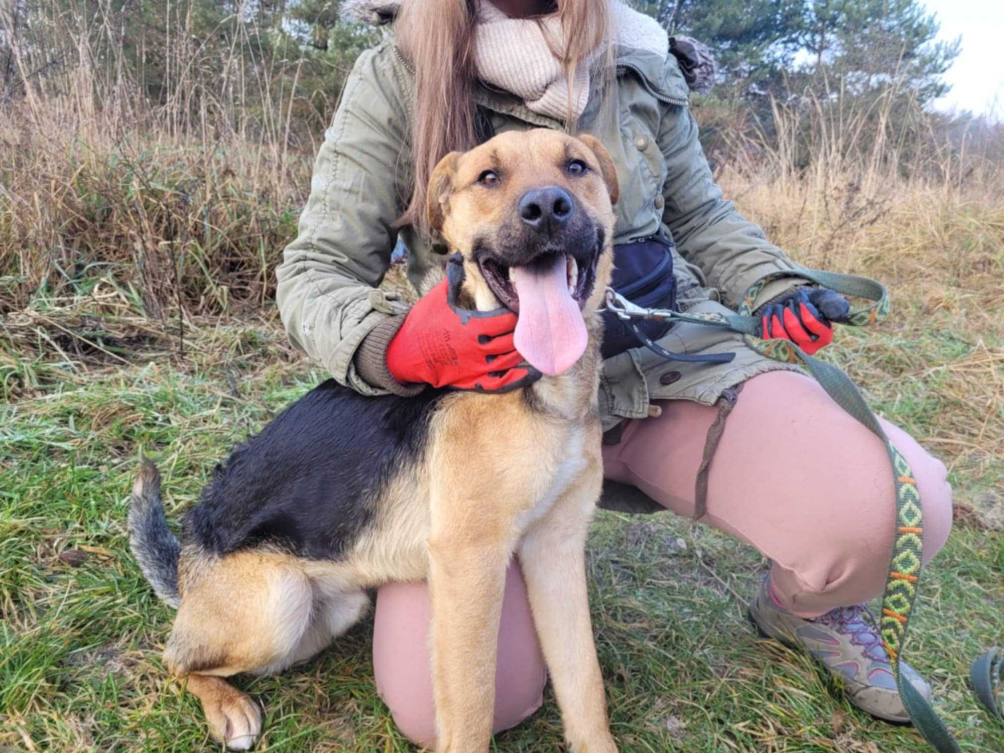 Kochający człowieka CZARUŚ szuka domu !! Do adopcji !!