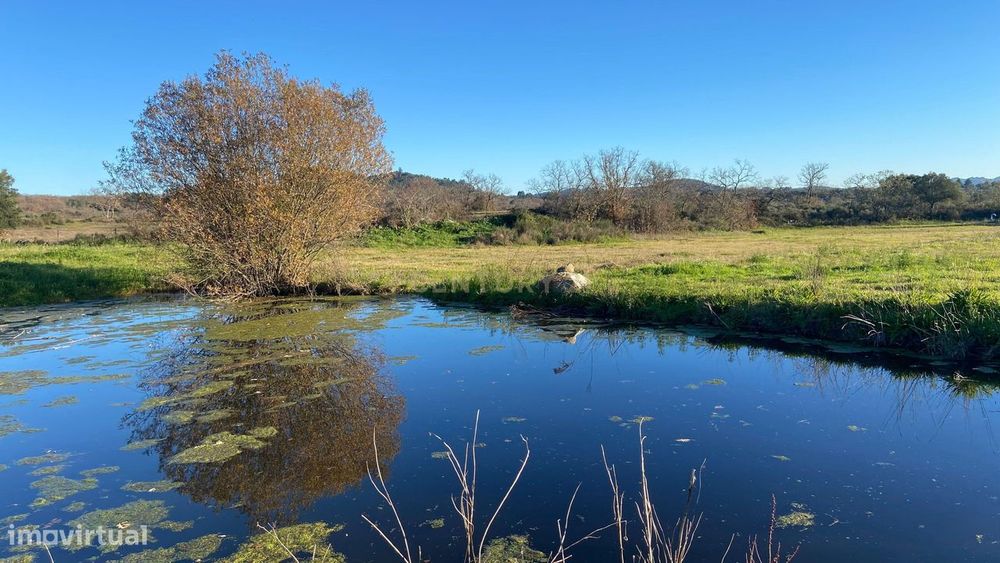 Magnífico terreno rústico com 1,9 hectares - Penamacor