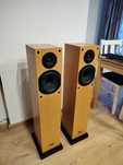 Audio Physic Yara Evolution kolumny podłogowe