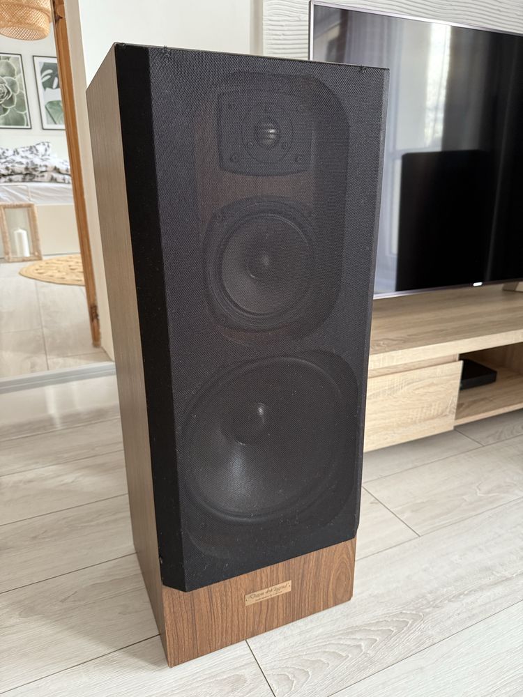 Celestion Ditton 44 Legend Wyśmienite brzmienie!