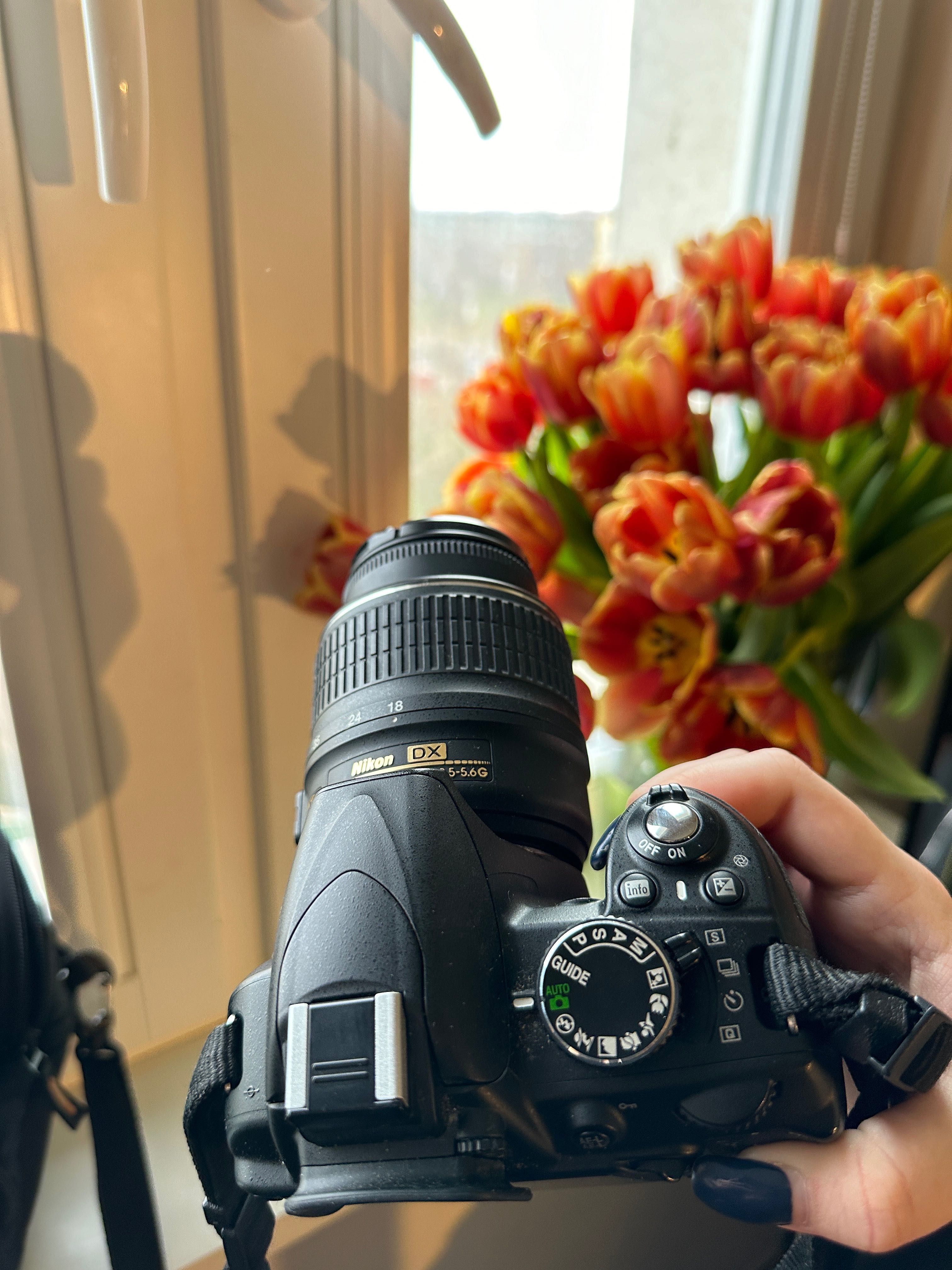 Aparat Nikon D3100