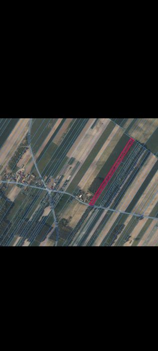 Działka rolna 10 030 m2 Rzędków (z warunkami zabudowy)