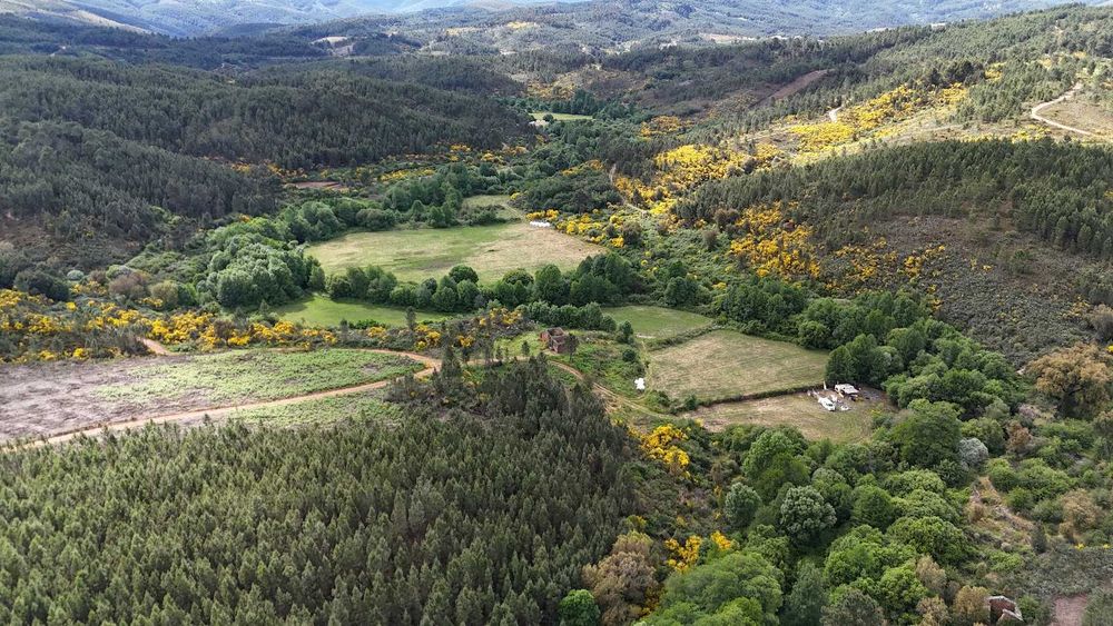 Terreno Rustico a beira da Ribeira na Serra da Estrela