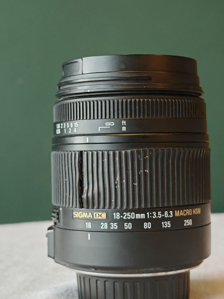 Sigma 18-250mm f/3.5-6.3 DC Macro OS HSM – idealna optyka, nikon dx