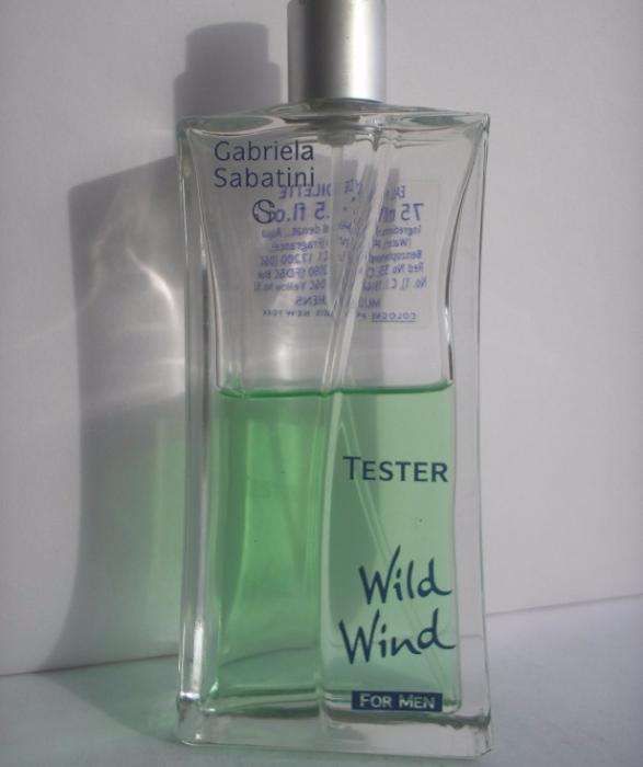 Gabriela Sabatini Wild Wind man woda toaletowa edt 40 ml