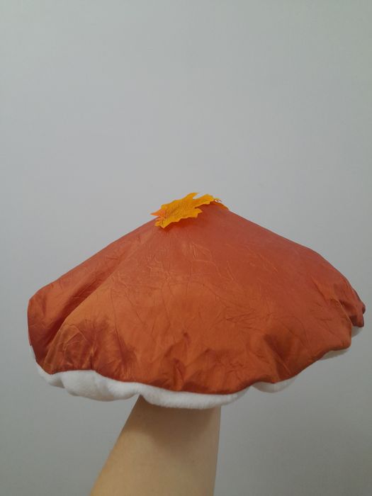 Шапка Гриб Боровик, підосичник, підберезовик. Шапка Гриба