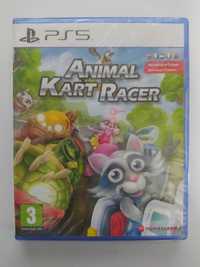 NOWA Animal Kart Racer PS5