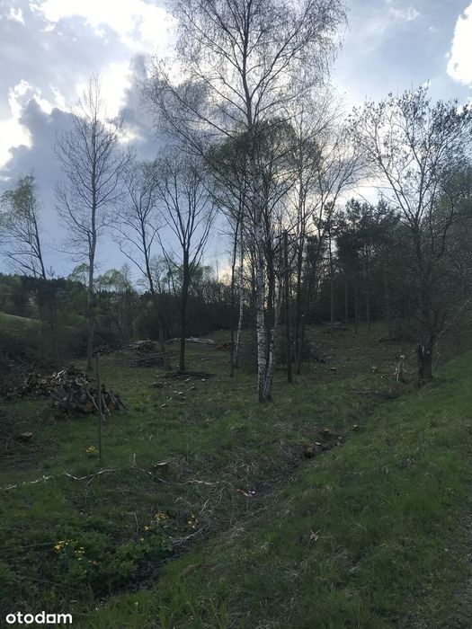 Działka leśno-budowlana Wołowiec, Beskid Niski