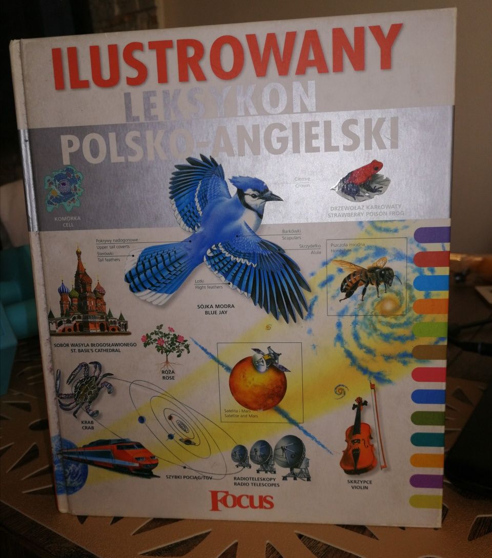 Ilustrowany leksykon polsko angielski Praca Zbiorowa