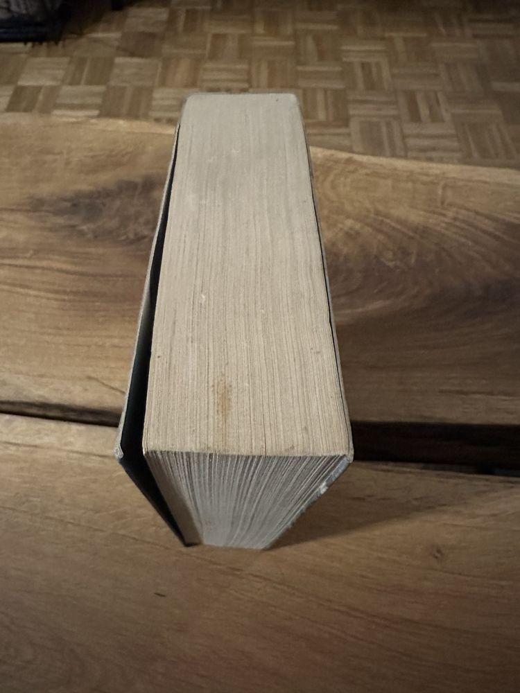 Pustynna Włócznia. Księga 1. Peter W. Brett.