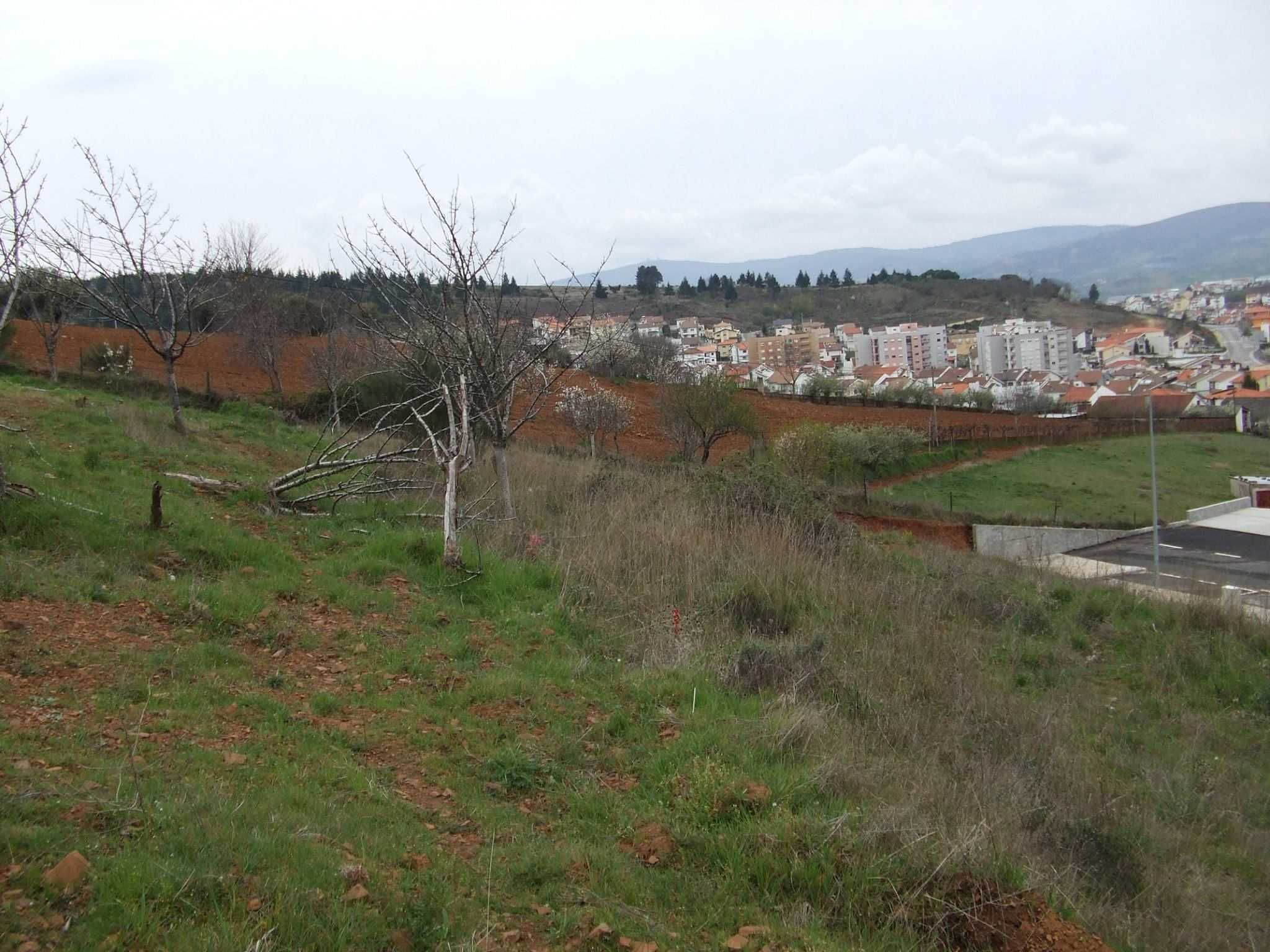 Terreno em Bragança, no S.Bartolomeu, com possibilidade de Construção