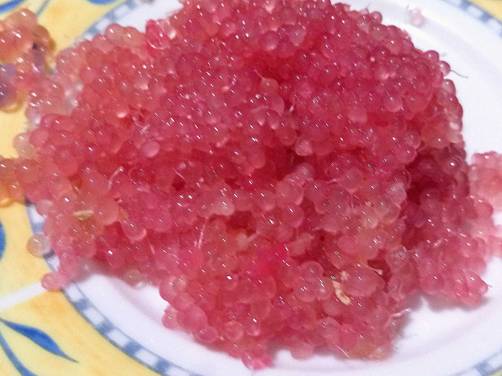 Fruta Limão Caviar Zero Pesticidas - Preço Direto Produtor