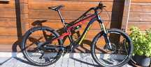 Rower Enduro/MTB Wheeler Hornet26