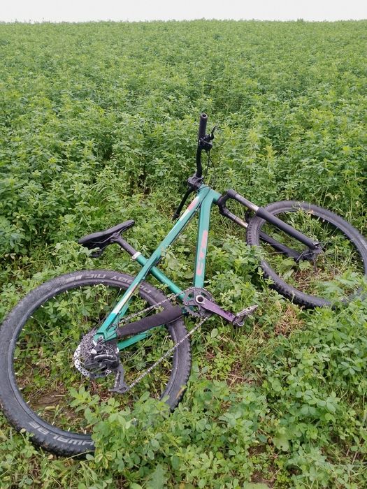 Rower typu dirt ctm