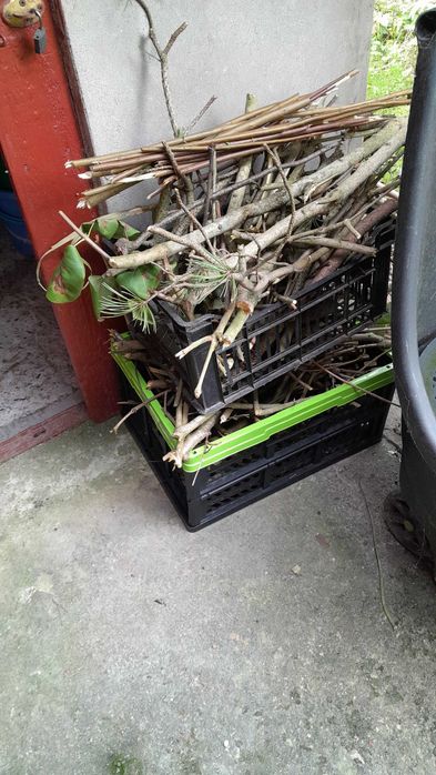 Drewno na opał, chrust