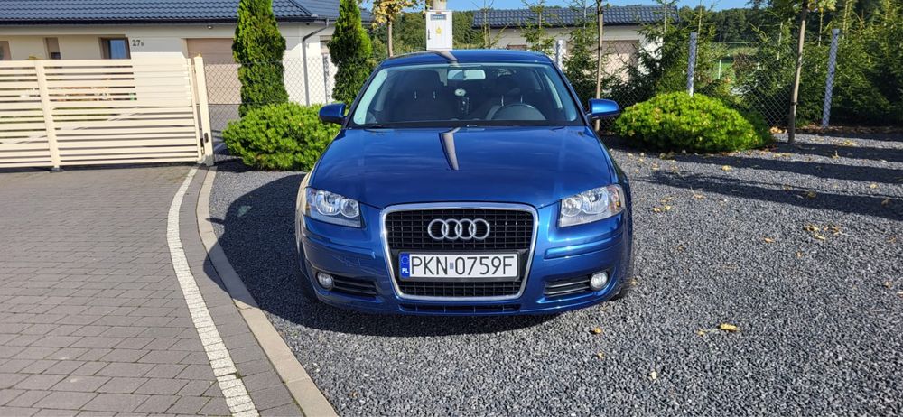 Audi a3 8p 2006r.