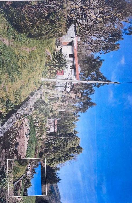 Quintinha - Rustico e Urbano