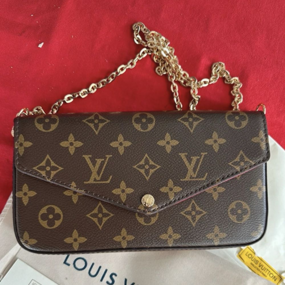 Louis Vuitton Monogram Pochette Accessories Bag