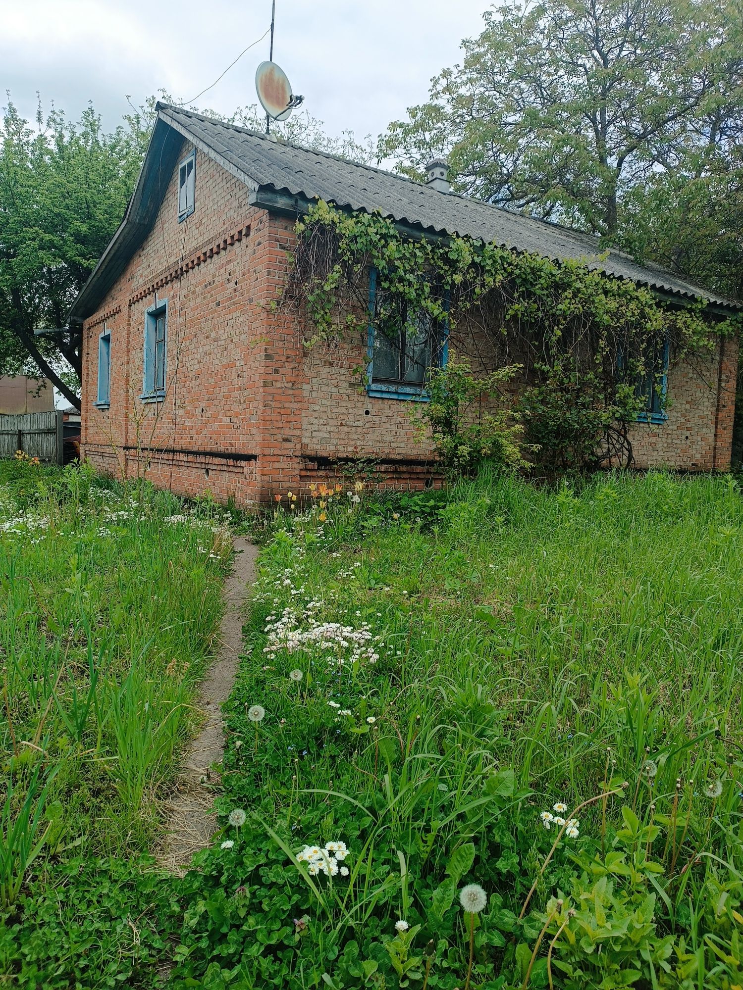 Великий будинок, Обласна лікарня, 15 сот землі