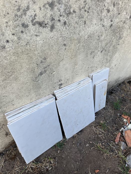 Tijoleira Branca Brilhante