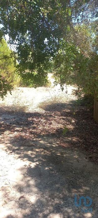 Terreno em Moncarapacho e Fuseta de 5320,00 m2