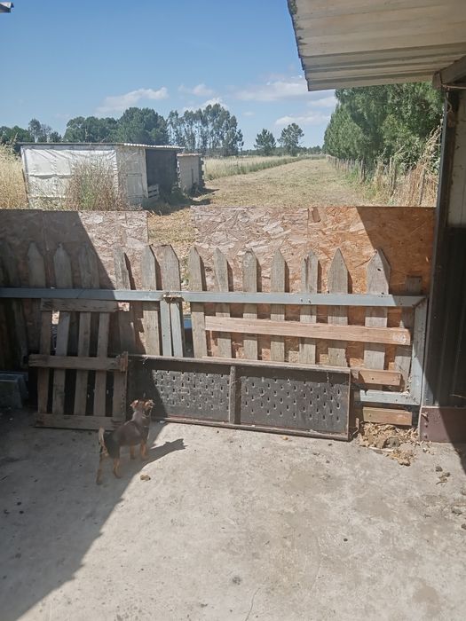 Vendo terreno rústico