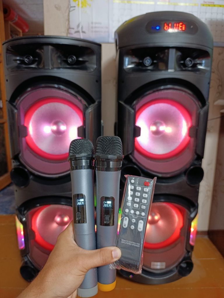 Колонки, акустична система Proaudio з Аккум