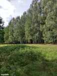 Działka budowlana 1,35 ha, otulina lasu, pod dom lub agroturystykę