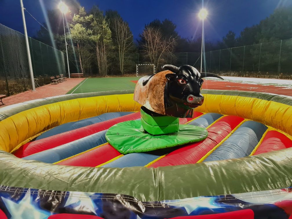 Byk Rodeo Symulator