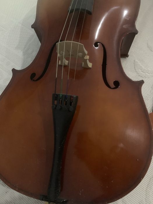 violoncelo estudante