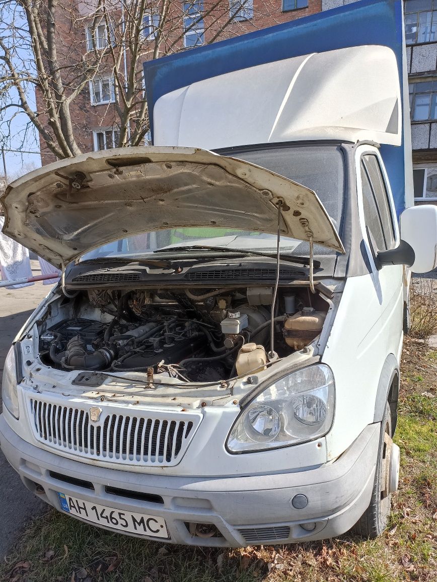 Газель на полном уверенном ходу!