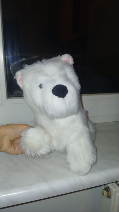 Biały pluszowy pies.