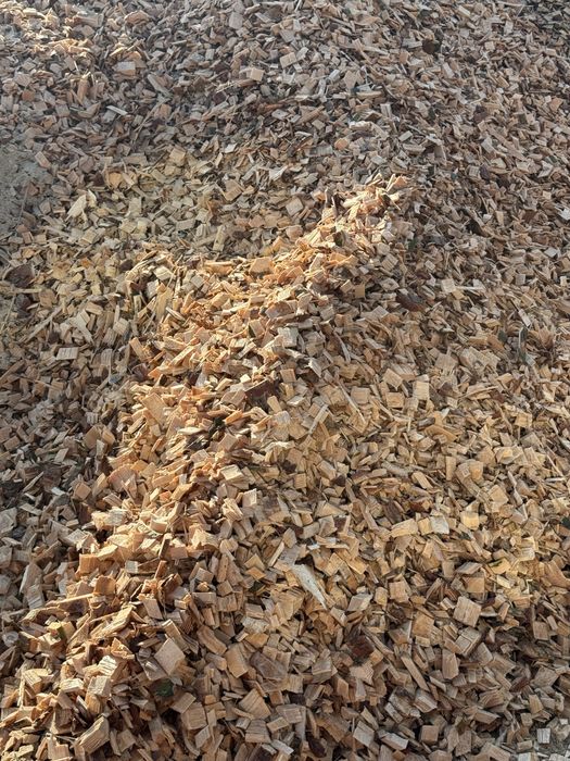 Продам тріску-щепу великі обєми