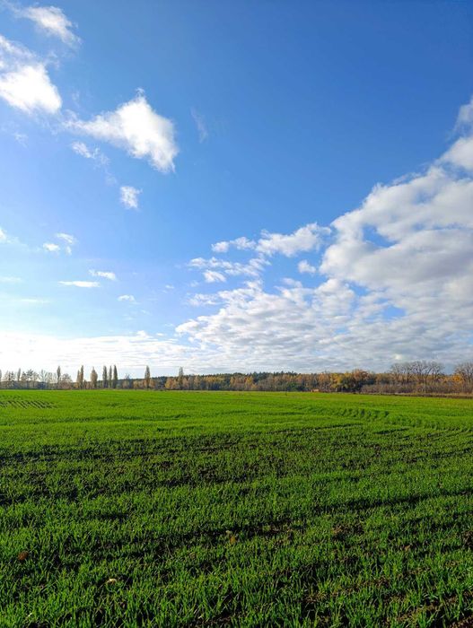 Є- Відновлення! Найближче передмістя- Рівнопілля!