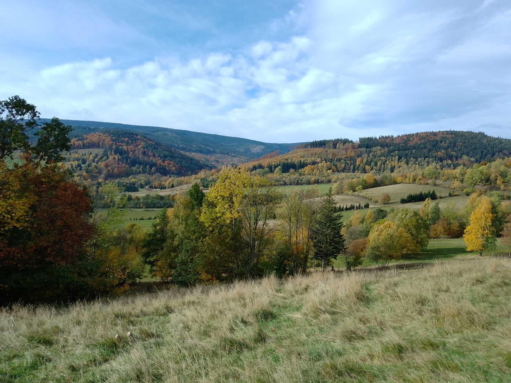Noclegi Jarkowice leśniczówka Karkonosze