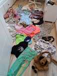 Mega paka 138/158  Adidas sinsay C&A Reserved 11