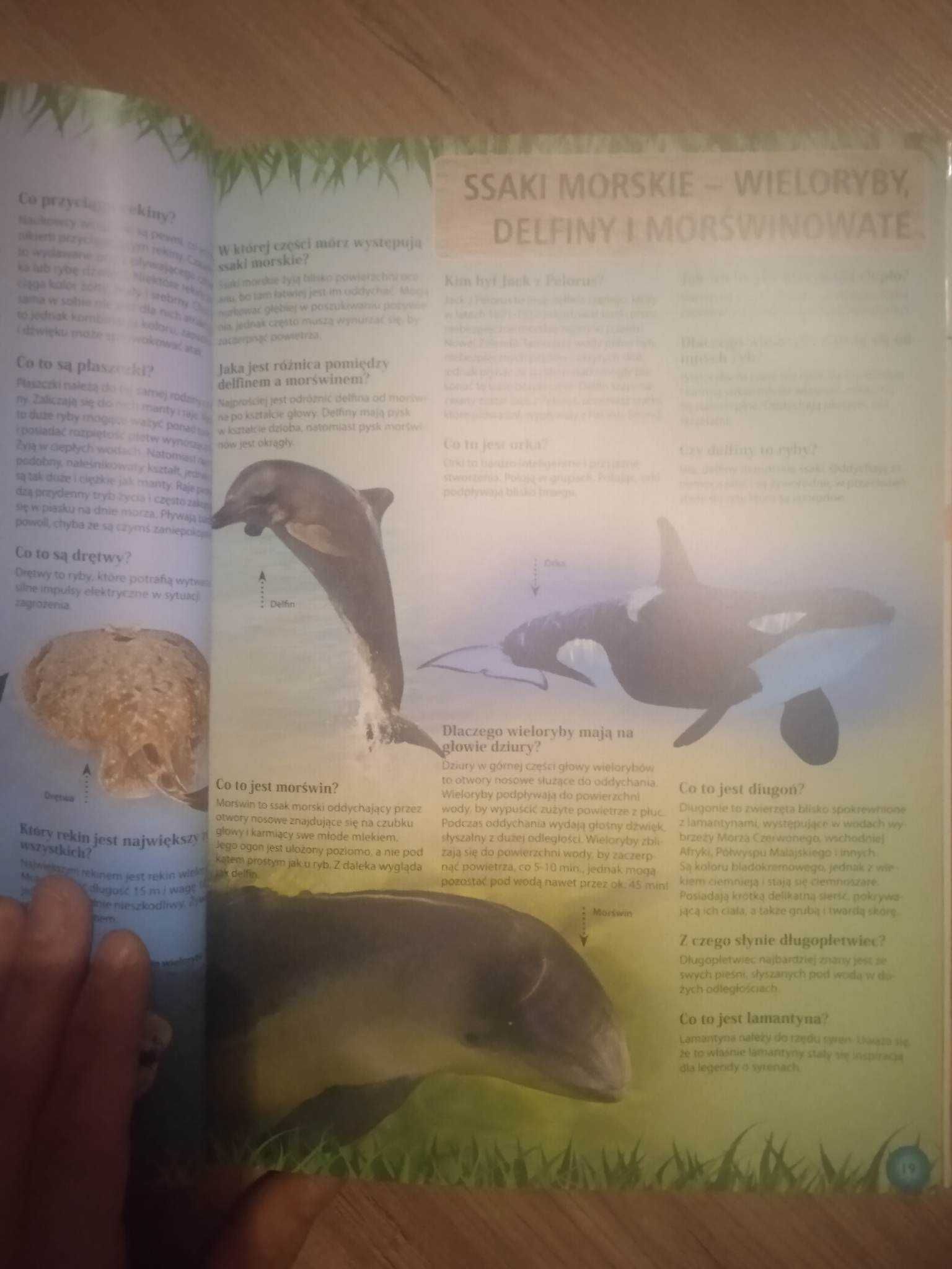 Encyklopedia dla dzieci - Cuda Świata