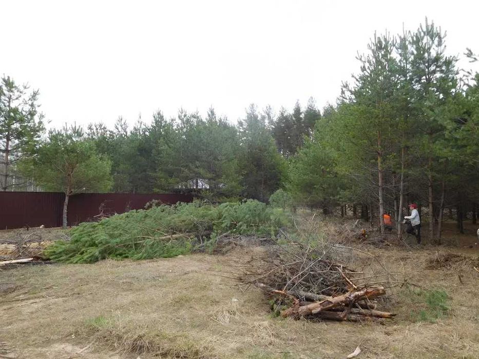 Прибирання ділянок Вирівнювання території  Розчищення під будівництво