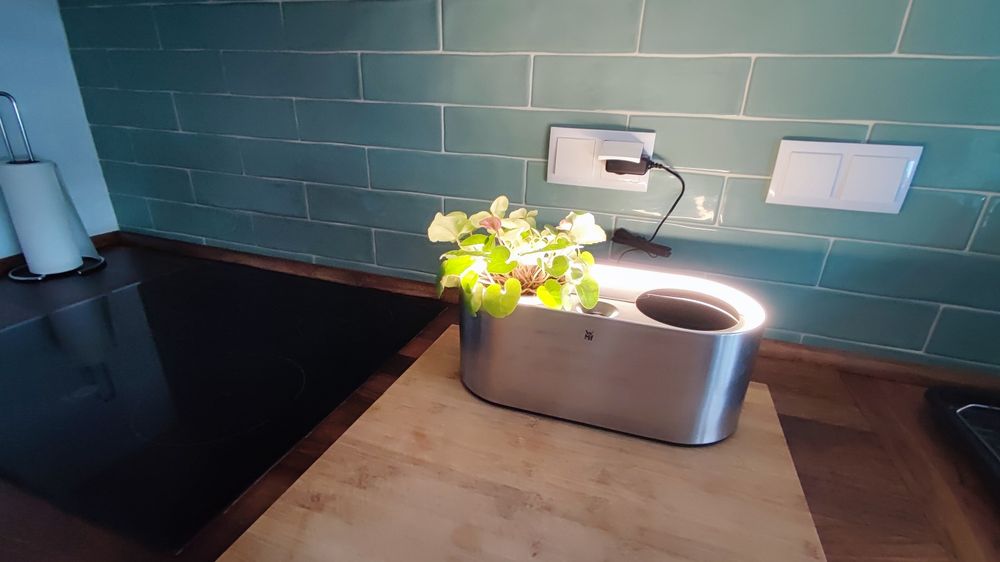 Vaso indoor para plantas ou ervas aromáticas AMBIENT - WMF