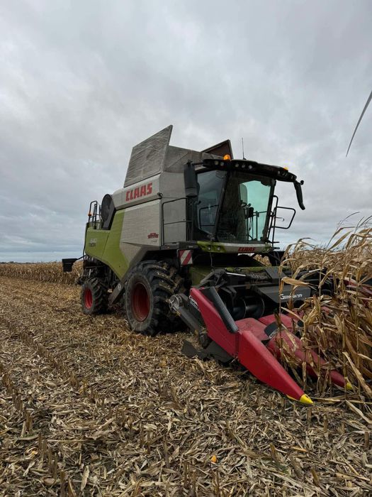 Usługa koszenia kukurydzy