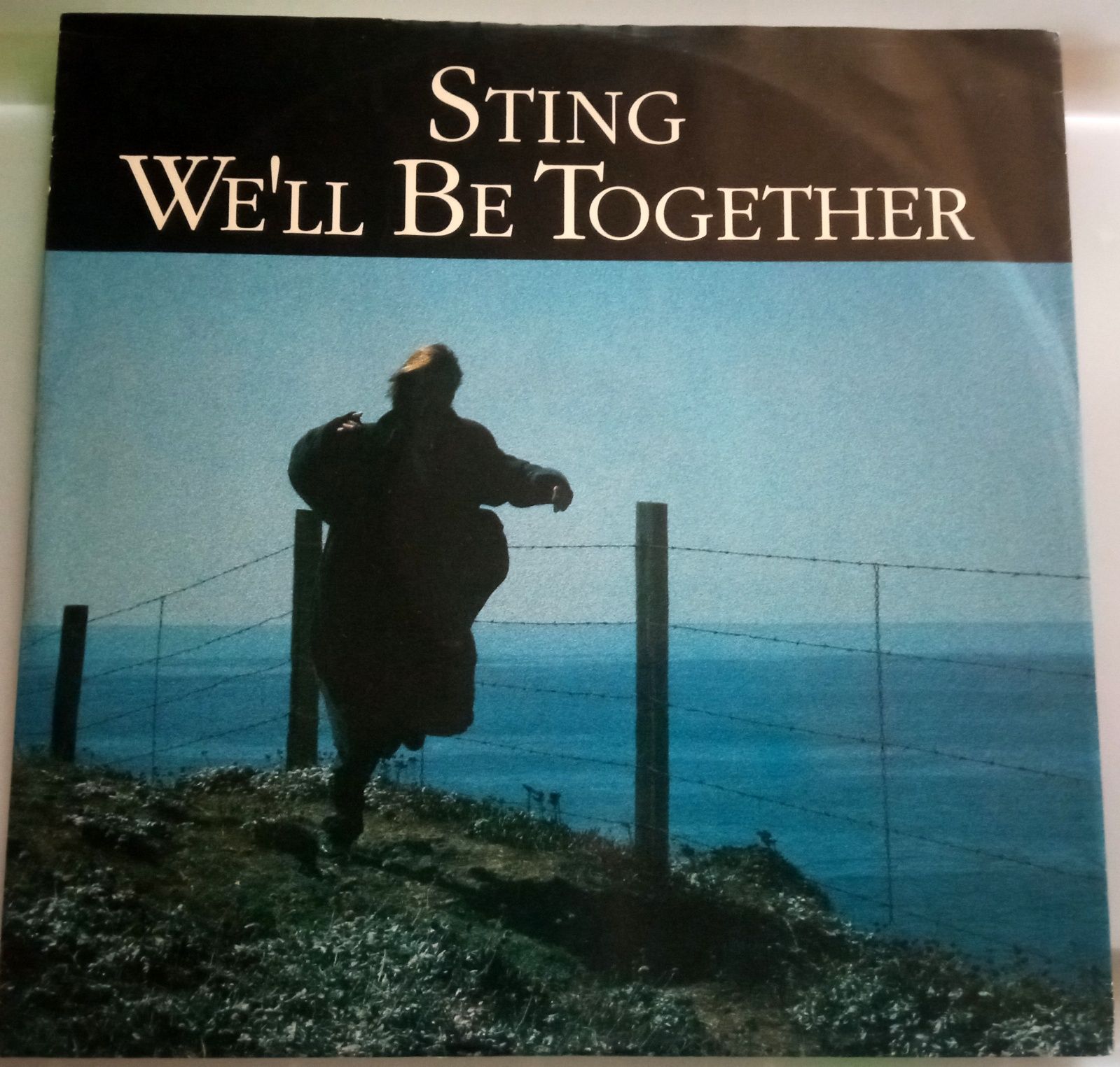 Vinil maxi Sting - We'll be Together