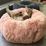 NOVAS - Cama Anti-Stress para cão e gato vários tamanhos e cores