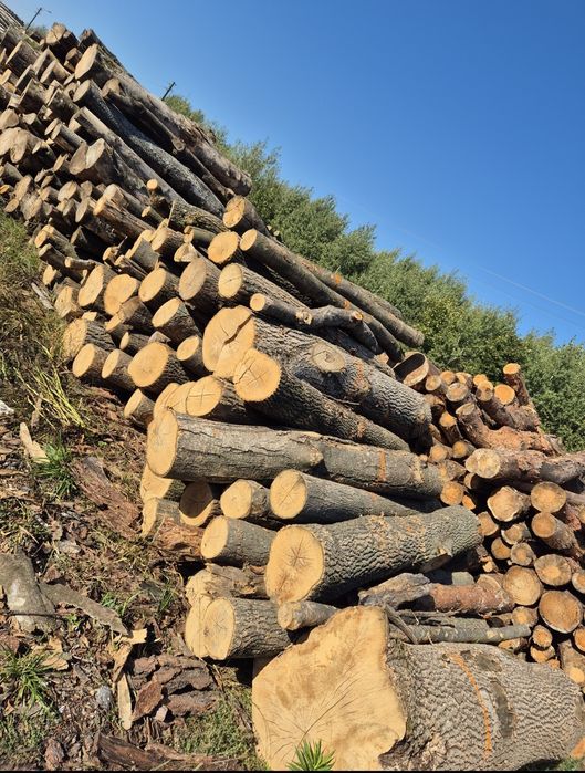 Drewno opałowe metry,stosy.Dąb grab brzoza olcha czereśnia jawor sosna