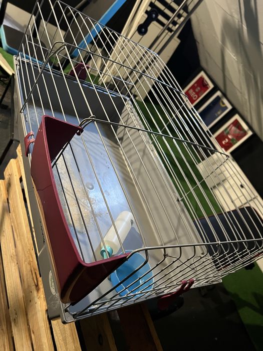 Gaiola coelho em bom estado